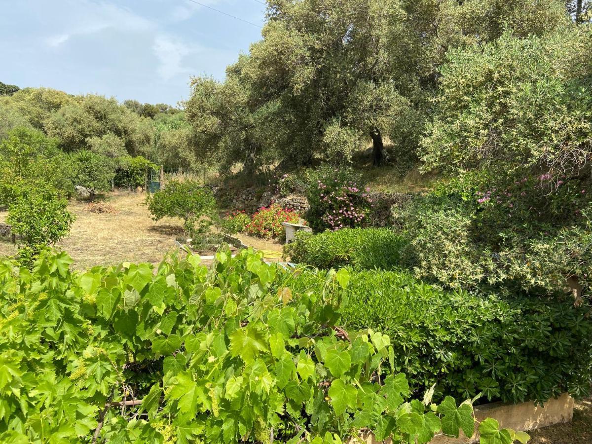 Seaview Garden Villa LʼÎle-Rousse Εξωτερικό φωτογραφία
